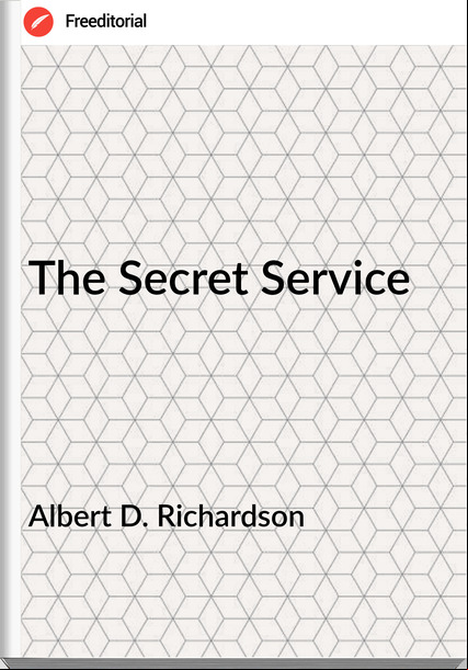 Albert D. Richardson - The Secret Service