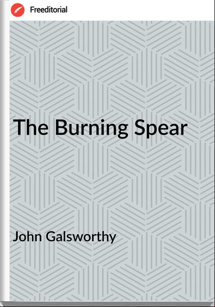 John Galsworthy The Burning Spear